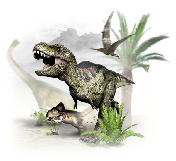 Foto Park dinozaurów