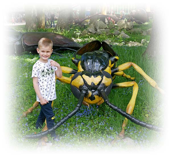 Foto Park owadów King Size